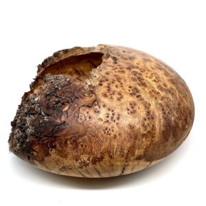 Alternative view of Oak burl sculpture
