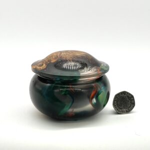 Yellow and green stabilised horse chestnut burl jewellery box