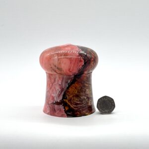Pink and red resin and wood jewellery box