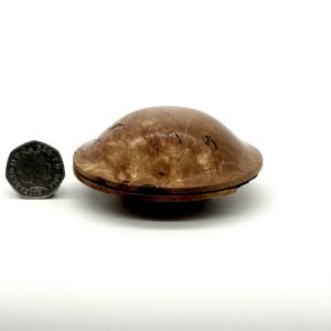 Elm burl trinket box 2