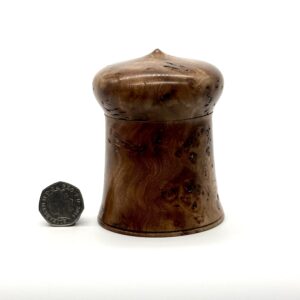 Elm burl trinket box 1