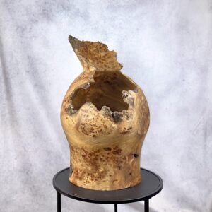 Elm Burl Saxson Vase Sculpture