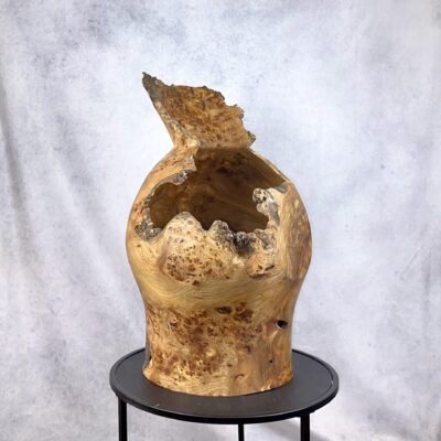 Elm Burl Saxson Vase Sculpture