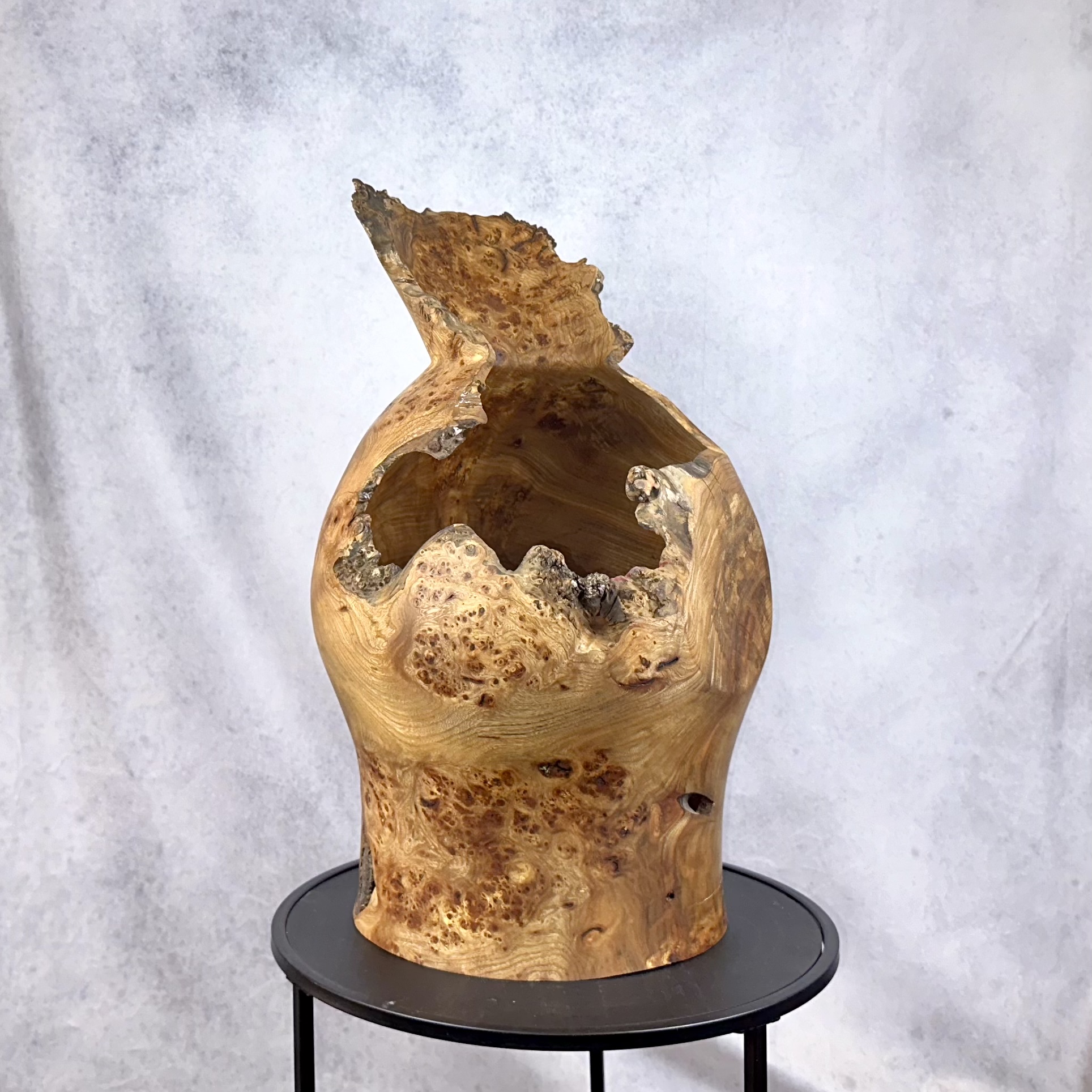 Elm Burl Saxson Vase Sculpture