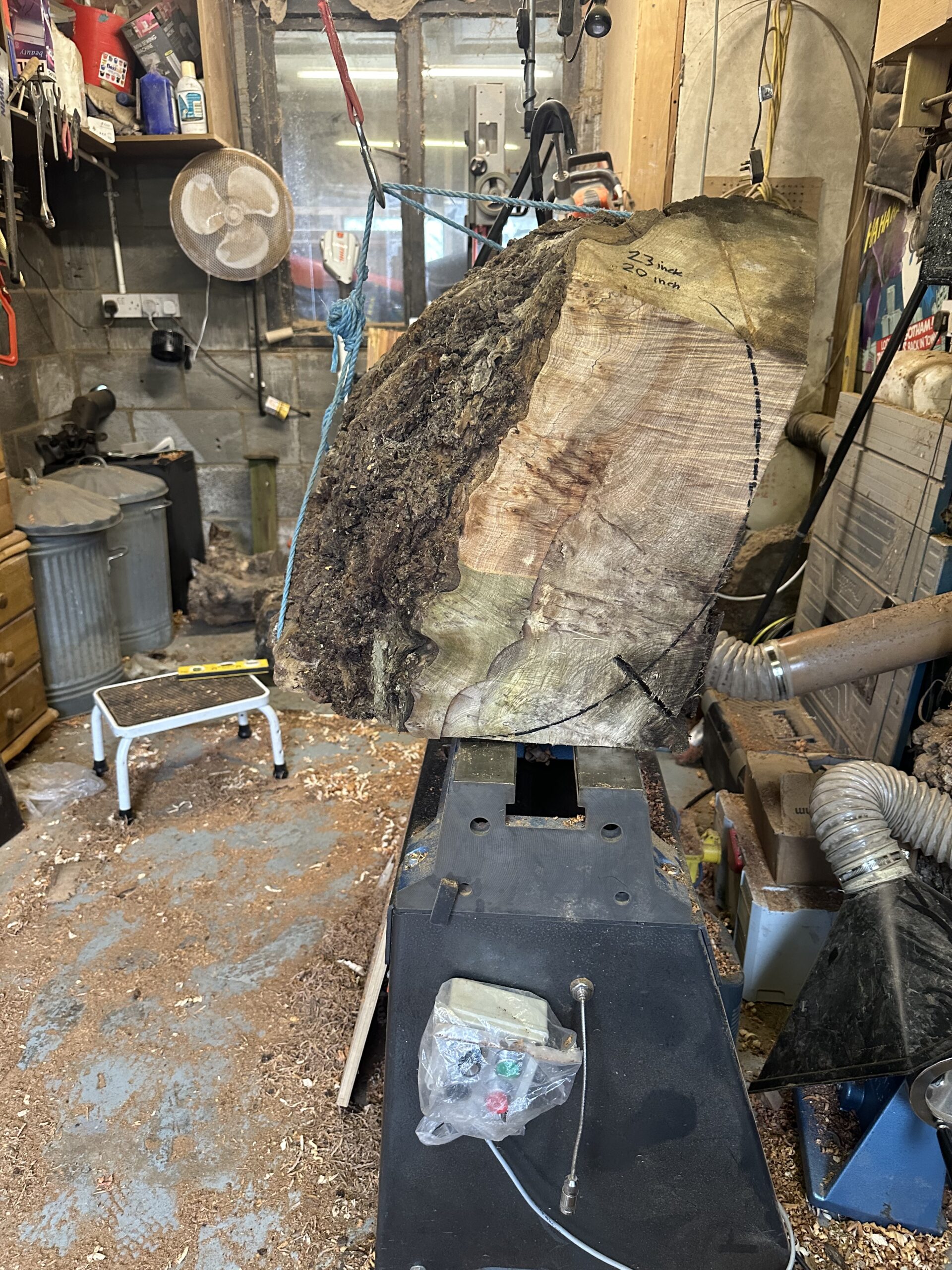 Elm Burl Greek-style Vase Sculpture - Image 18
