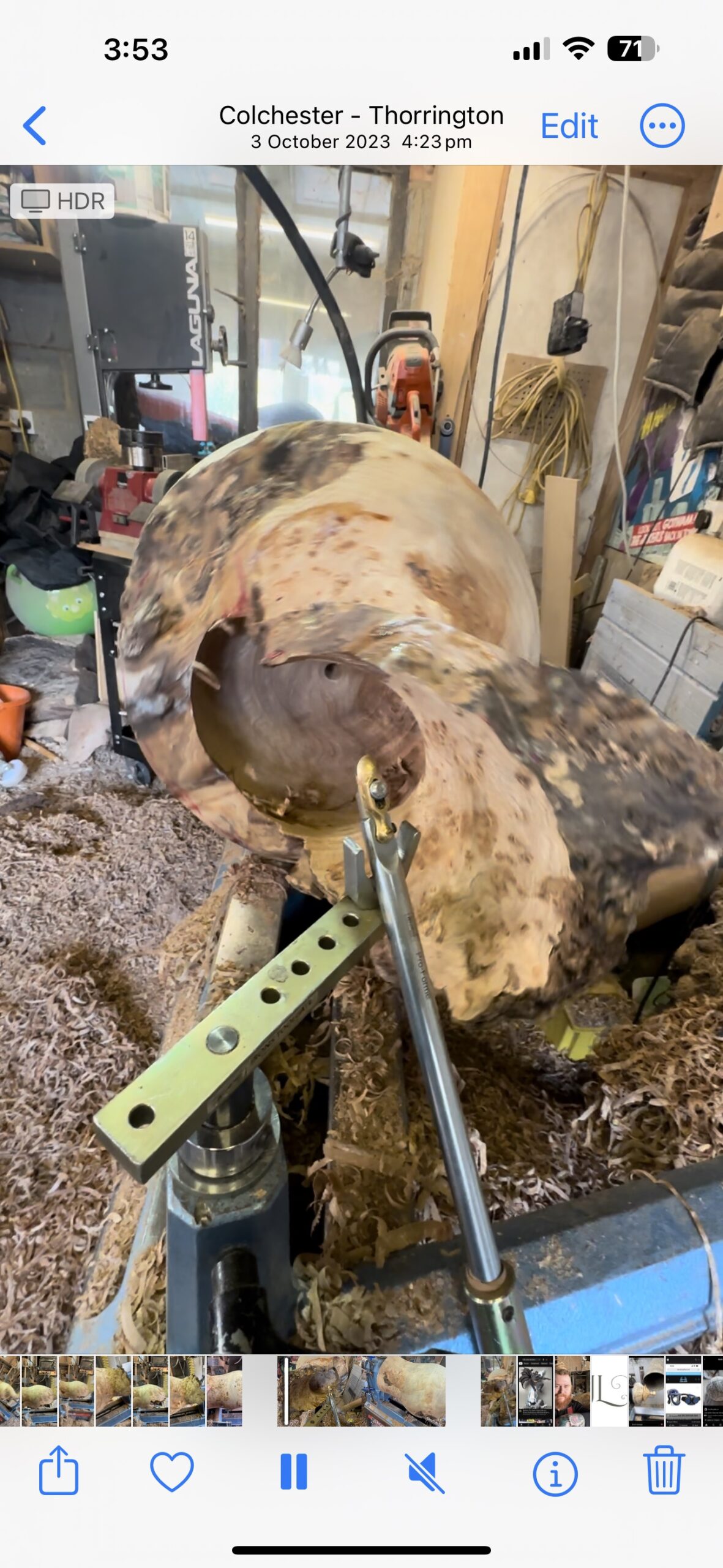Elm Burl Saxson Vase Sculpture - Image 10