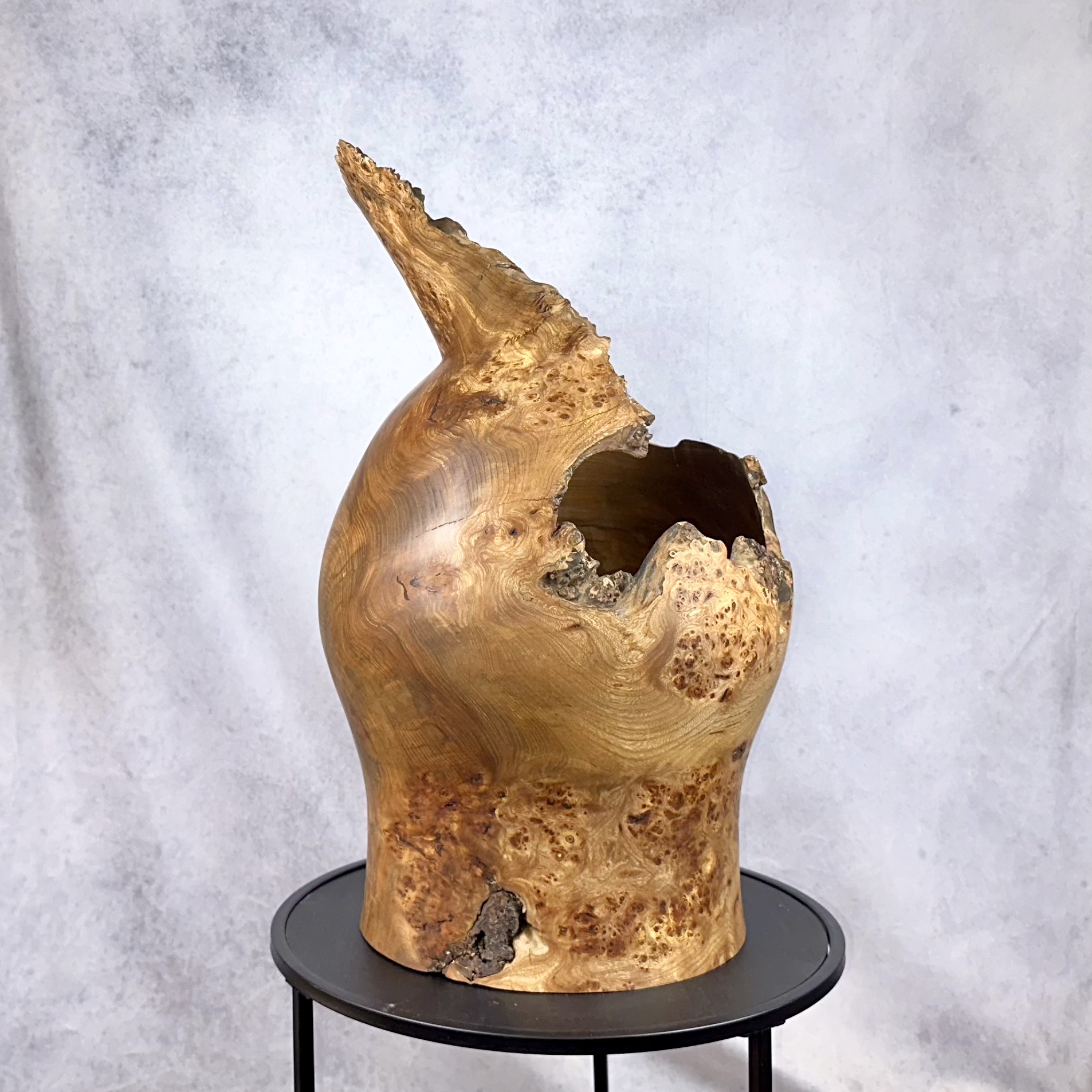 Elm Burl Saxson Vase Sculpture - Image 7