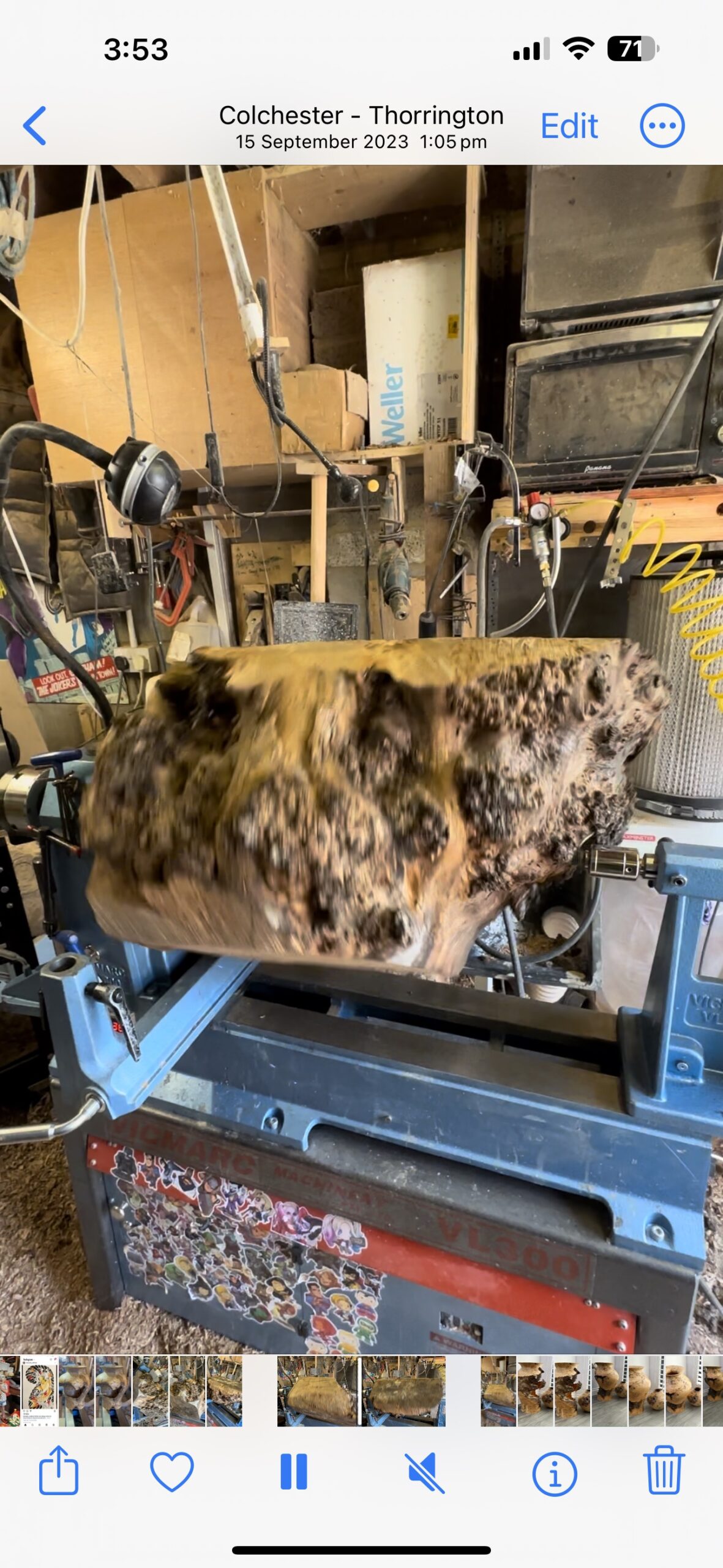 Elm Burl Saxson Vase Sculpture - Image 12
