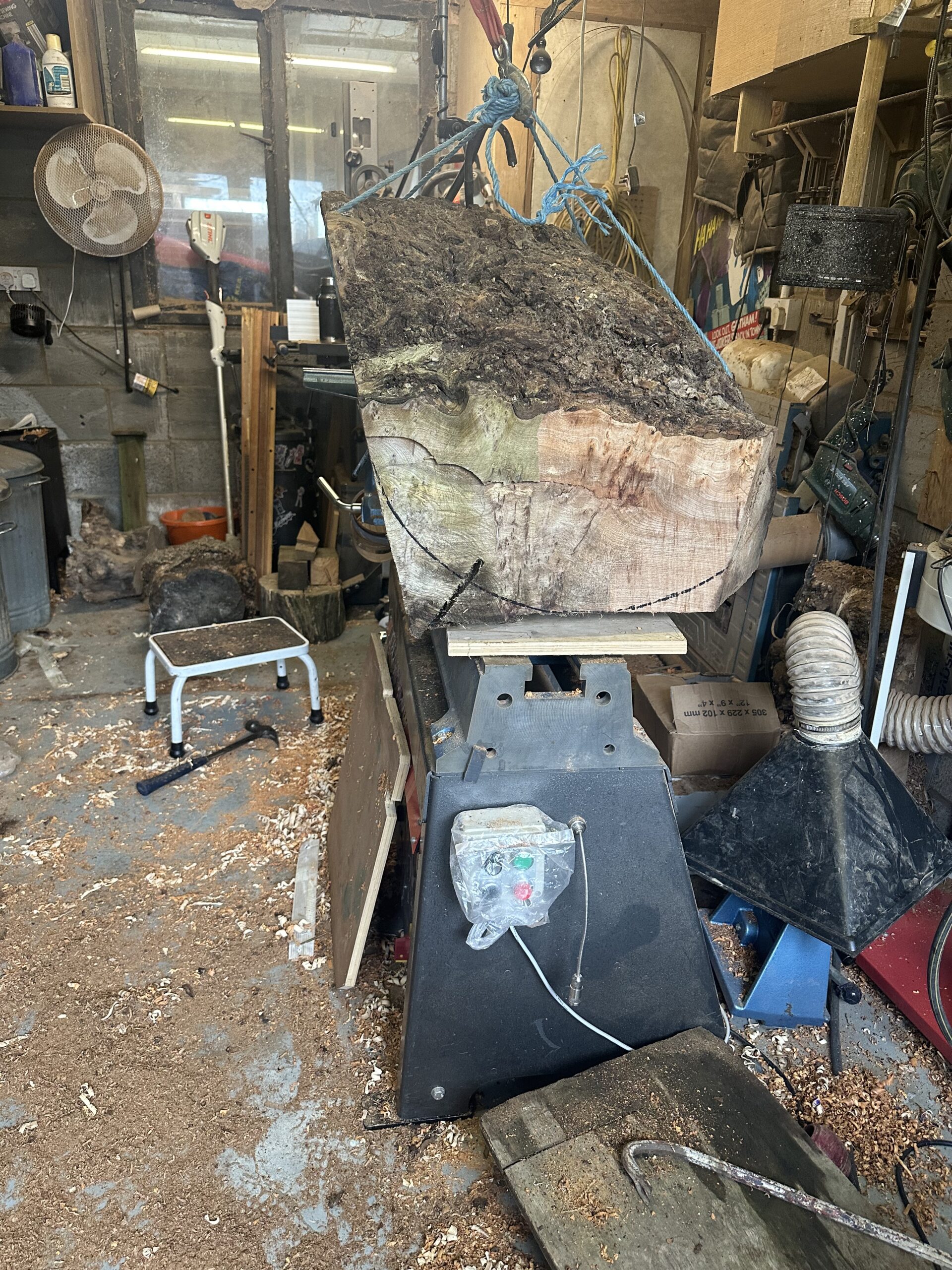Elm Burl Greek-style Vase Sculpture - Image 16