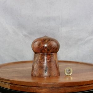 Stabilised elm burl wooden box 1