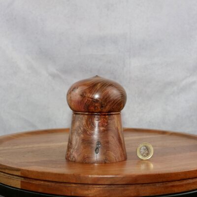 Stabilised elm burl wooden box 1